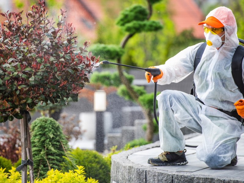 Fatsa Haşere İlaçlama