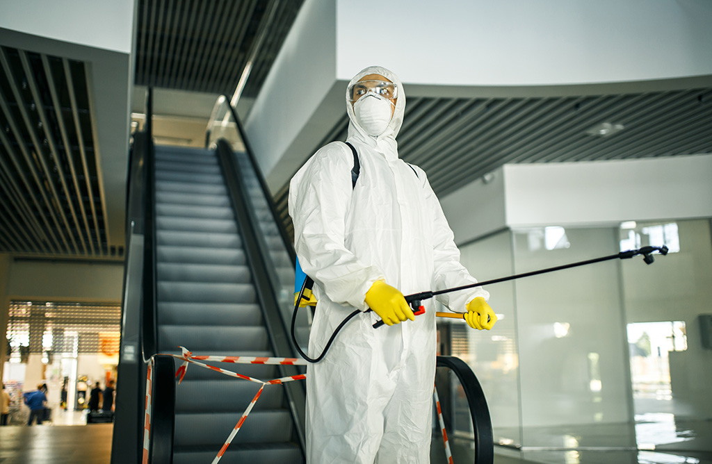 Fatsa Haşere İlaçlama